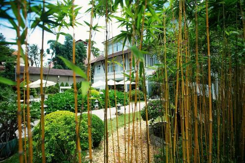Muong Thanh Da Lat Hotel