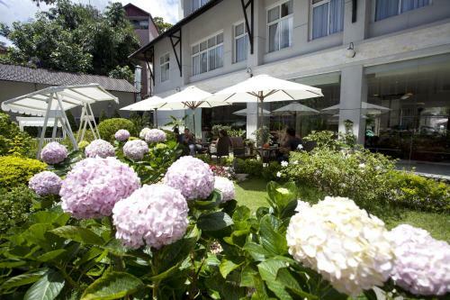 Muong Thanh Da Lat Hotel