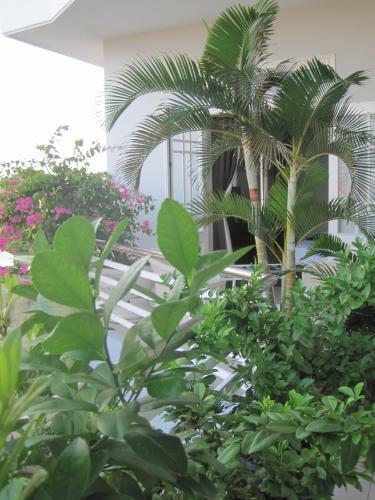 The Moon Homestay