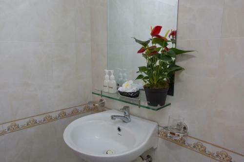 Galaxy Homestay
