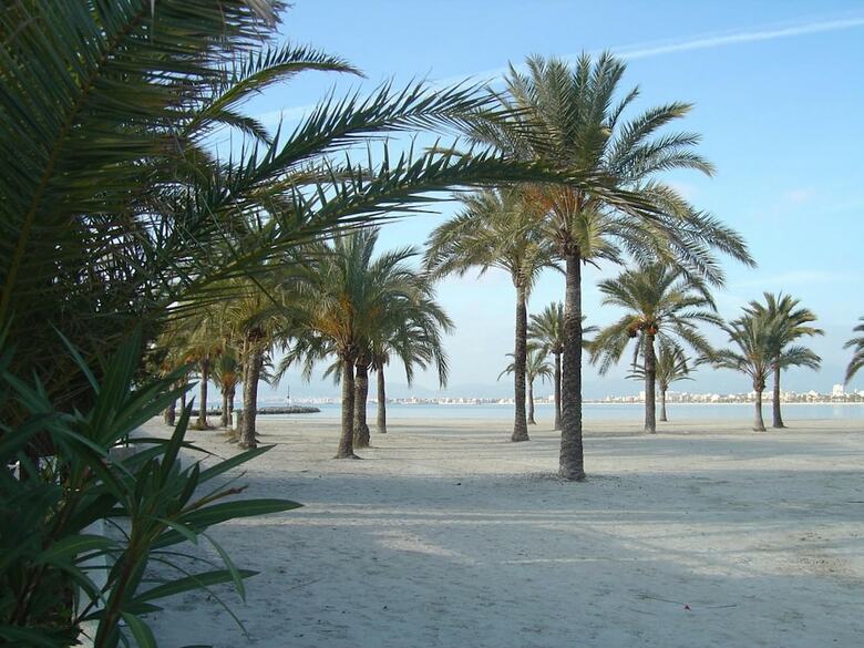 Hotel Bluesea Mediod�a