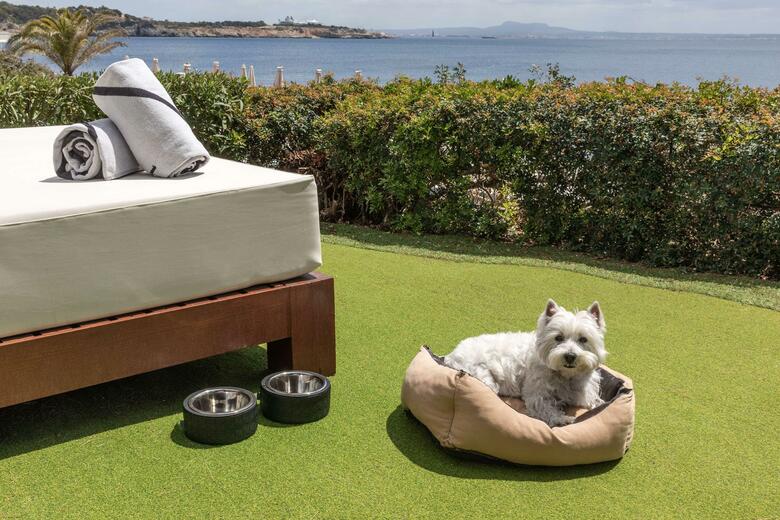 Hotel De Mar Gran Meli� - Only Adults