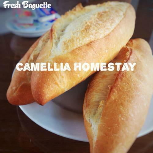 Camellia Homestay
