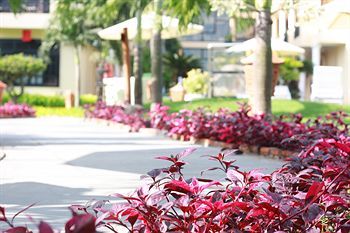Hotel Phu Thinh Boutique Resort & Spa