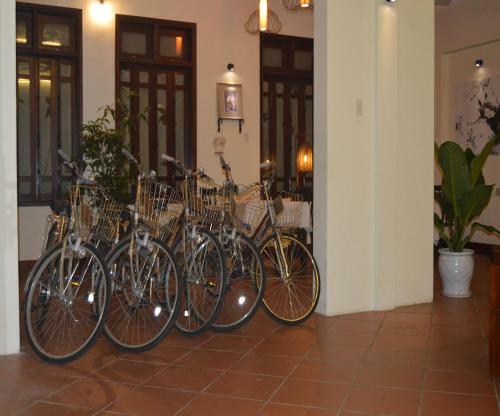 Bed & Breakfast Orchids Homestay