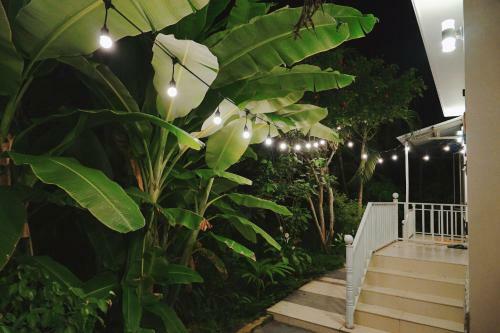 Hotel Longan Homestay
