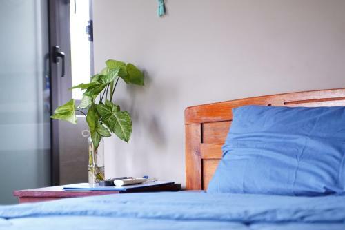 Hotel Longan Homestay