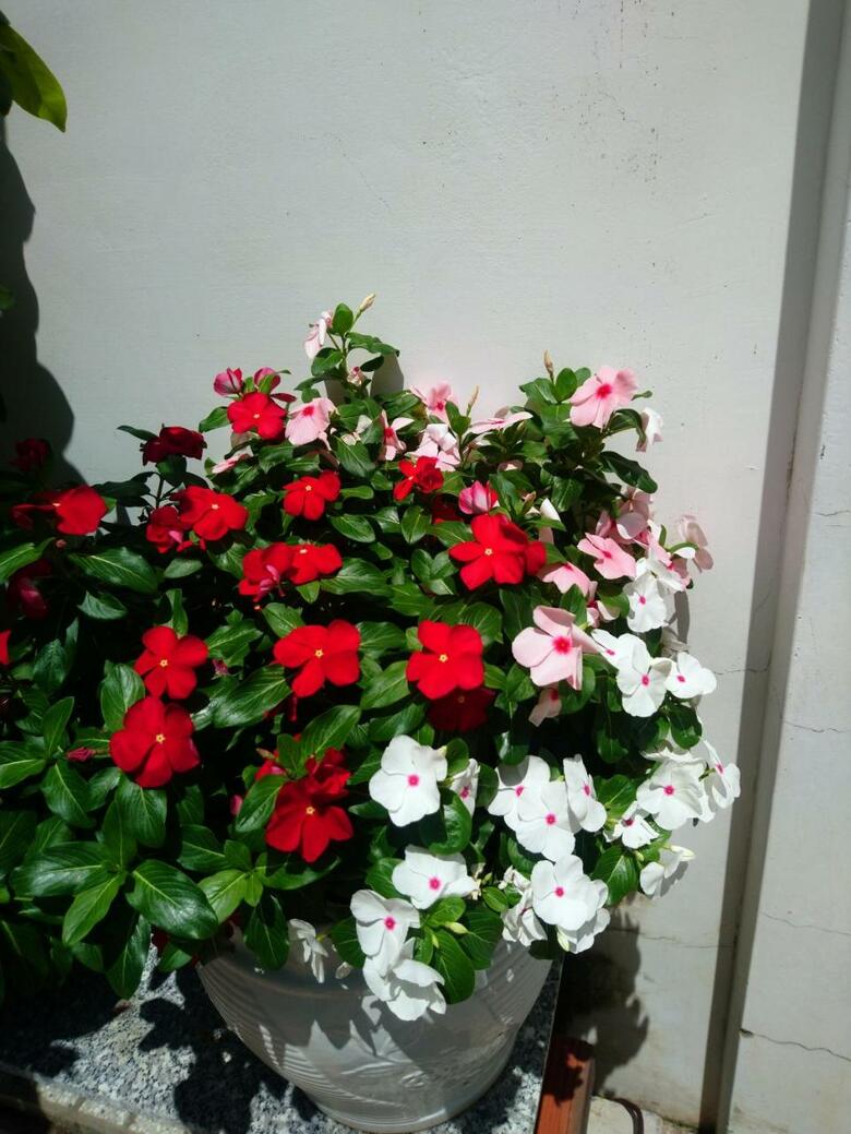 Hostal Hung Phuc Mui Ne Hotel
