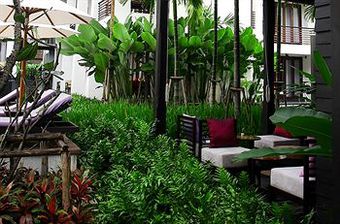 Residencia Maeva Les Citronniers