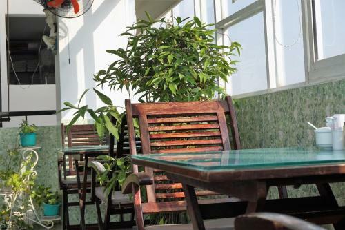 Hotel Green Suites