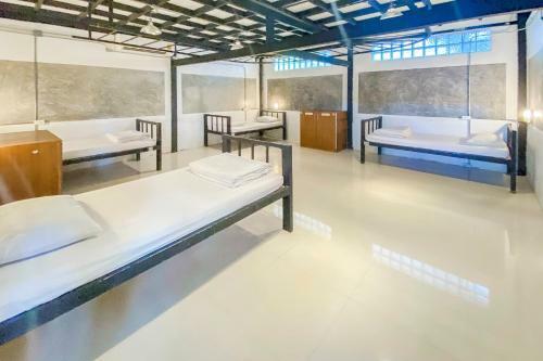 Freedom Hostels@phi Phi