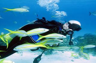Hotel Abaco Beach Resort & Boat Harbour