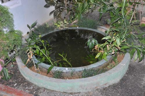 Chithrasala Homestay