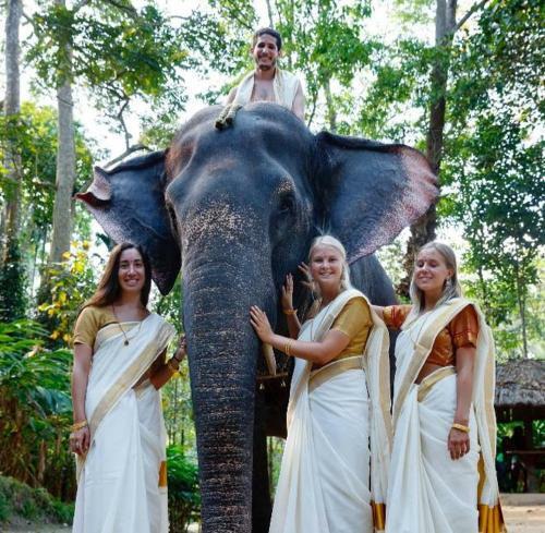 Bed & Breakfast Green Leaf Home Stay