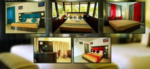 Bed & Breakfast Green Leaf Home Stay