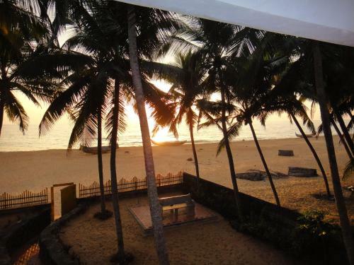 Hotel Wild Palms On Sea