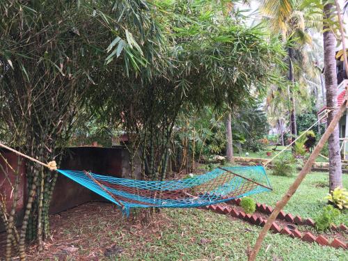 Hotel Divine Bliss Beach Resort