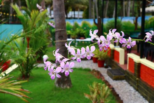 Hotel Divine Bliss Beach Resort