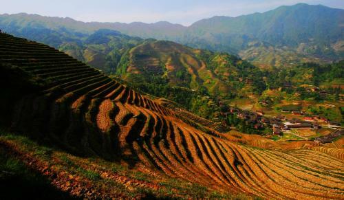 Posada Longji Rice Terraces Tian Ranju Inn