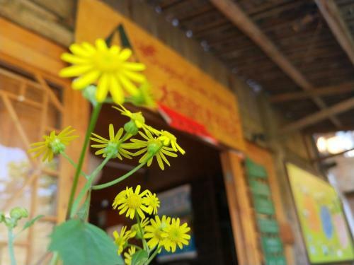 Longsheng Dazhai Jinkeng International Youth Hostel
