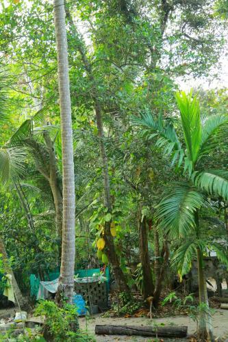 Bed & Breakfast Angels' Homestay Marari