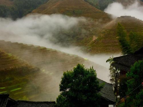Hostal Longji Terrace Wood House