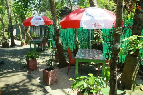 Marari Swapna Beach Villa