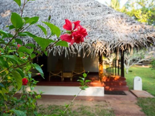 Hotel Marari Beach - Cgh Earth