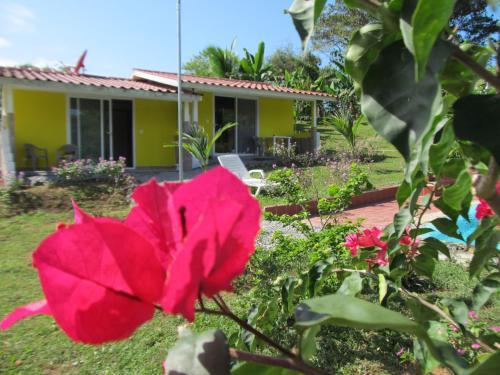 Bed & Breakfast Residence Las Lajas