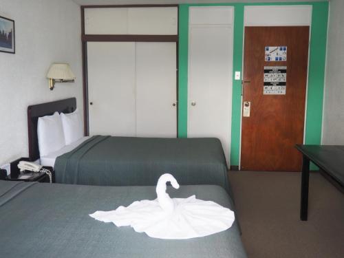 Nuevo Hotel Maragato
