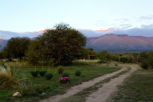 La Teresita Posada