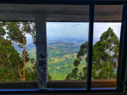 Hostal White Monkey Dias Rest