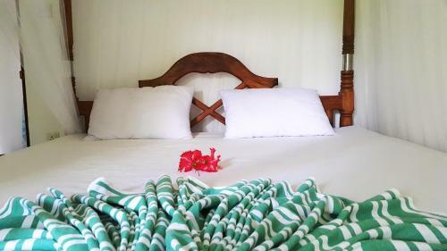 Bed & Breakfast Era Holiday House