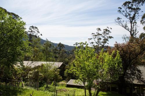 Bed & Breakfast Buttercup Hill