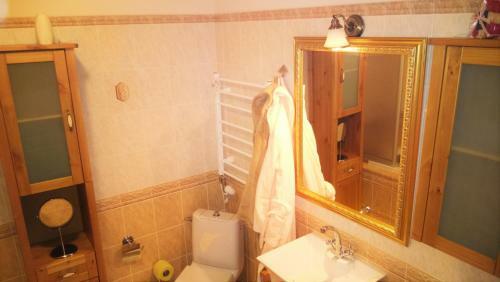 Villa Rezidence Z�me?ek - Boutique Hotel