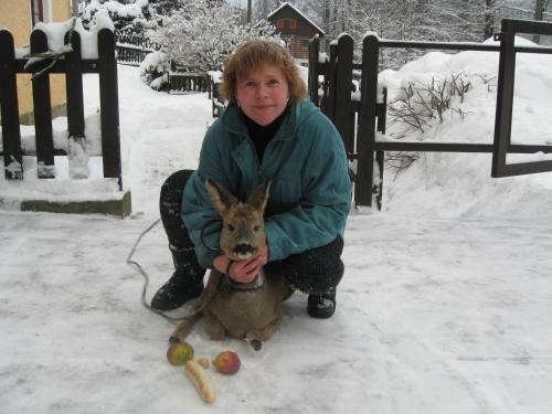 Hostal Penzion U Potoka