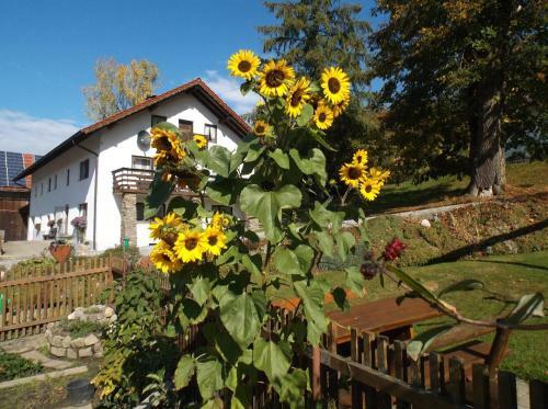Apartamento Ferienwohnung Lindenhof