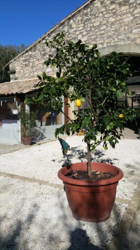 Hostal Le Clos Des Aramons