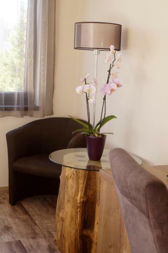 Bed & Breakfast Fitromax Panzi�