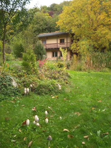 Hostal Kism�lyv�lgyi Vend�gh�z