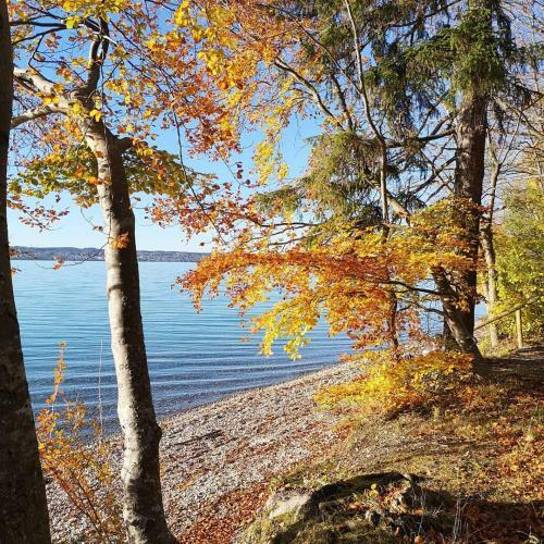 Ferienwohnung Am Starnberger See