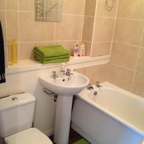 Glasgow Green Apartment 1