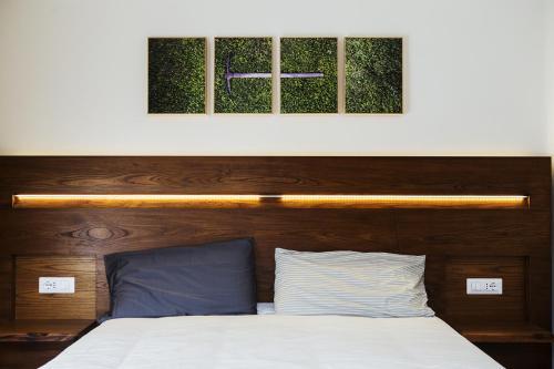 Il Pettirosso B&B