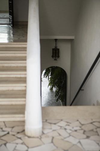 Il Pettirosso B&B