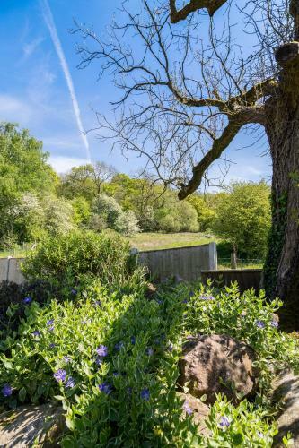 The Laurels B&B