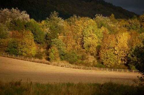 River Edge Lodges