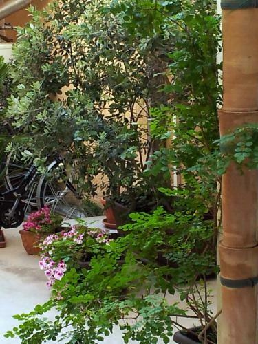 Hostal Casa Marsalia