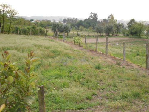 Santo Tirso Holiday Home
