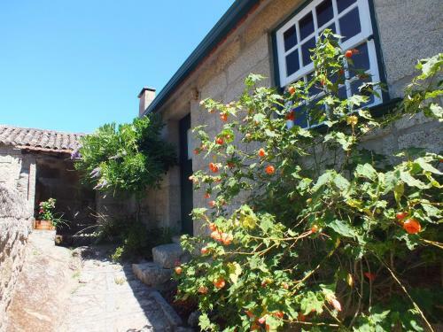 Hostal Quinta Do Caritel