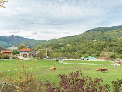 Holiday Home Partitoio Ovile
